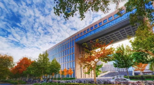 2025年中国工学实力Top20高校 浙大稳居三甲，中科大位列前15背后透露了什么？